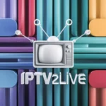 ipv (72)