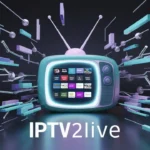 ipv (79)