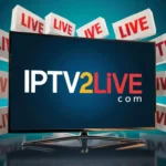 ipv (94)