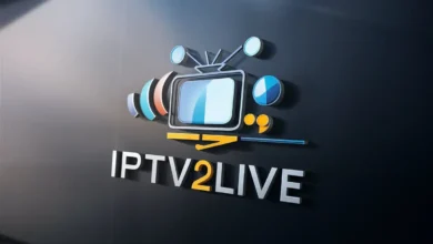 ipv (121)