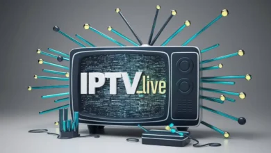 ipv (71)