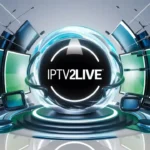 ipv (86)